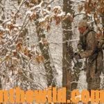 Short-Cuts to Bowhunting Deer Success Day 3: Minimize Mistakes Made in a Tree Stand While Hunting Deer