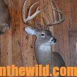 Ten Secrets to Finding and Taking Trophy Buck Deer Day 1: Secret #1 – Locate Trophy Buck Deer Where You Hunt