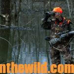 Hunt the Twilight Zone for Big Buck Deer Day 2: Realize the Importance of Hunting Transition Areas for Deer
