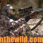 You Don’t Have to Take a Bird for a Memorable Turkey Hunt Day 5: Realize That a Successful Turkey Hunt Can Happen