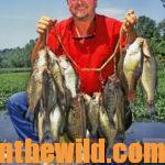 Fish Jigging Spoons to Catch More Crappie Day 2: Why Modify a Jigging Spoon for Crappie