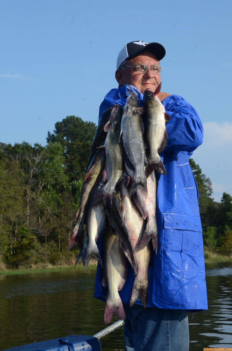 Everything You’ve Wanted to Know about Catching Catfish Day 2: How to ...