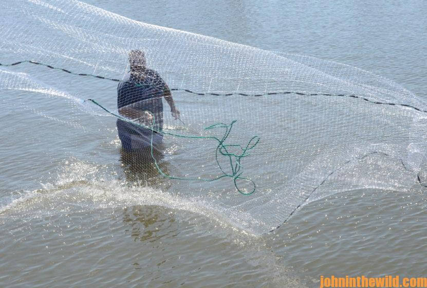 Use Cast Nets to Catch Bait and Fish for Fun and Money Day 1: Cast