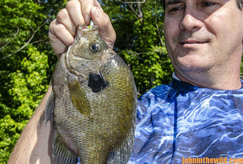 Have Fun and Catch Big Bream Day 1: Where Some of the Biggest