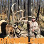 Ryan Solomon Tells All About Hunting Elk, Turkeys and Mule Deer Day 1: Ryan Solomon Hunts the Big Growler Elk