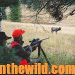 Elk Hunting Survival with Mark Land Day 5: How Far Does an Elk Bow or Rifle Hunter Need to Shoot Accurately