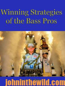 Cover: Winning Strategies of the Bass Pros