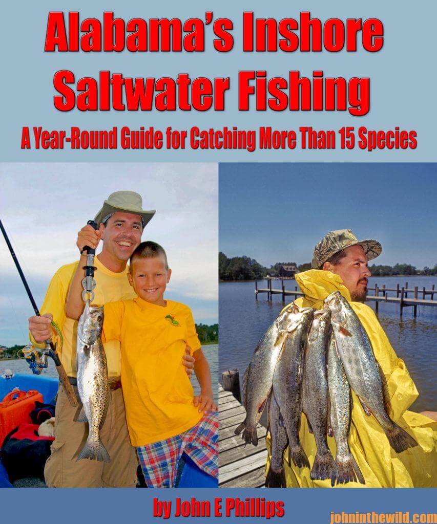 How to Catch August’s Inshore and Offshore Saltwater Fish Day 1 Catch