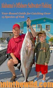 Cover: Alabama's Offshore Saltwater Fishing