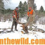 Hunting Elk with Crow Creek Outfitters Day 2: Techniques and Tales for Elk Hunters with Rifles