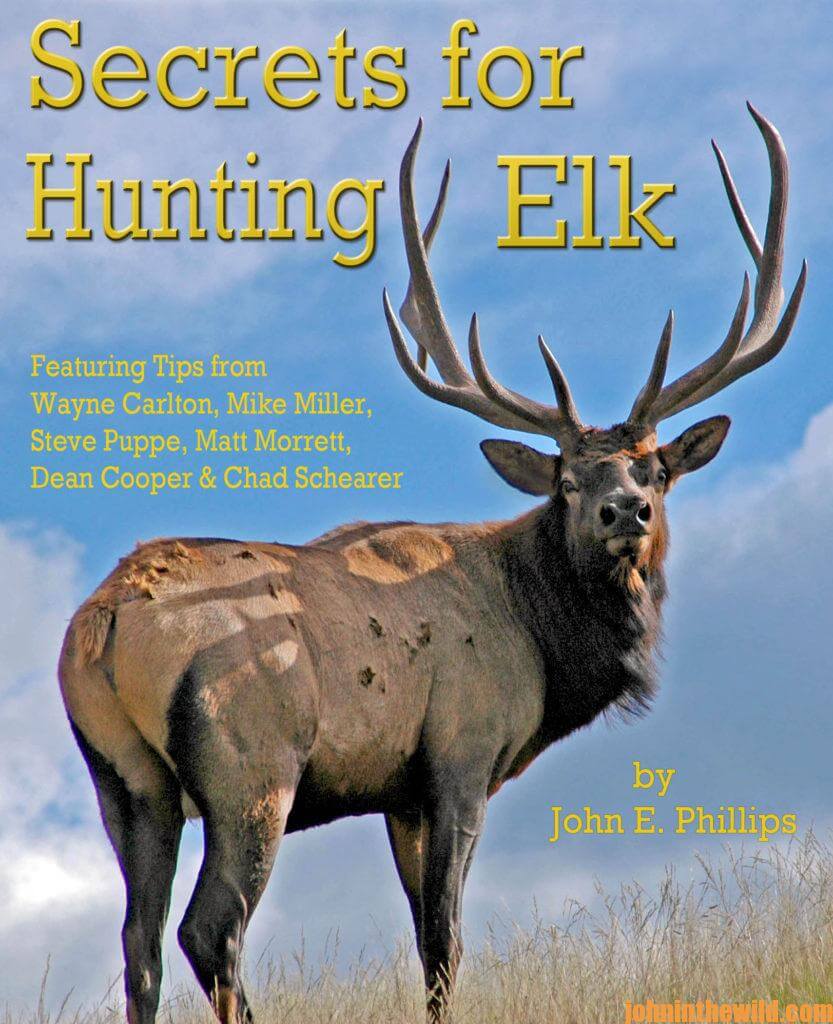 Hunting Elk with Crow Creek Outfitters Day 3: Shannon Parsons on Elk ...