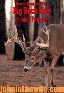 How to Hunt and Take Big Buck Deer on Small Properties