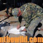 The Best and Newest Deer and Duck Hunting Information  Day 2: Hunt Your Deer from the Skinning Shed