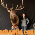 Mia Anstine – Adventures of an Unlikely Elk Guide  Day 1: How Mia Anstine Got in the Elk Guiding Business