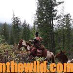 Hunting Montana Elk with Shawn Fulton Day 3: The Biggest Bull Elk Shawn Fulton Has Taken