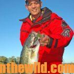 Where and How to Catch Bass in January and February with Bass Pros Day 5: James Niggemeyer’s Tips for Southern January Bassing