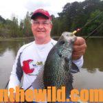 Secrets of Expert Crappie Farmer Tony Adams for Year-Round Crappie Success Day 5: Questions Tony Adams Often Is Asked about Building Crappie Structure