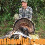 What’s the Truth about Taking Turkeys with .410 Shotguns Day 2: Well-Known Outdoorsman Barry Smith’s First Season Hunting Turkeys with a .410