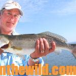 Catching Speckled Trout, Redfish and Tripletails on the Upper Gulf Coast Day 3: Anglers can Catch Redfish and Flounder after Speckled Trout on Mississippi’s Gulf Coast