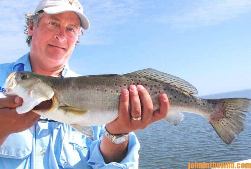 Catching Speckled Trout, Redfish and Tripletails on the Upper Gulf Coast  Day 3: Anglers can Catch Redfish and Flounder after Speckled Trout on  Mississippi's Gulf Coast - John In The WildJohn In