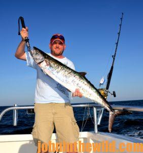 trolling-fishing-kingfish - Distraction Charters