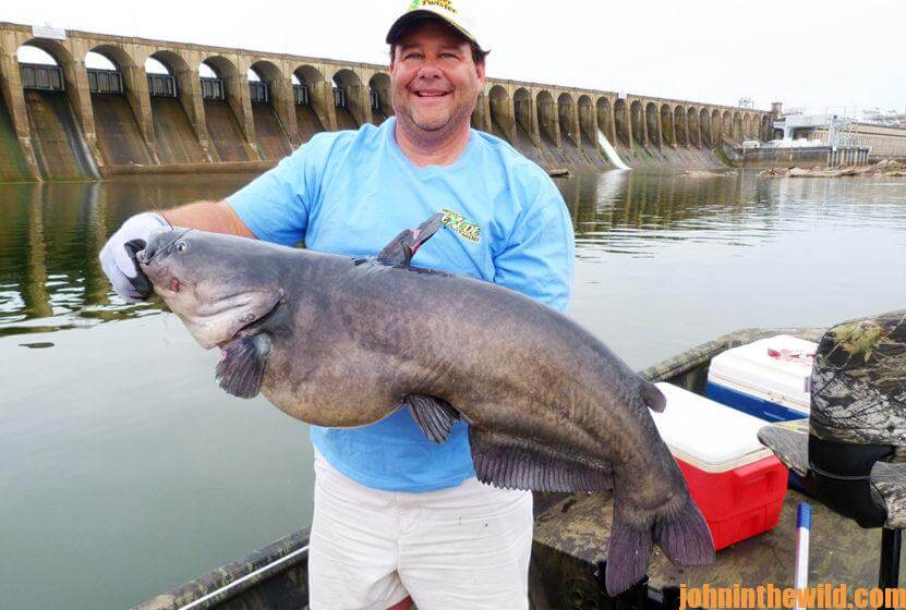 Tennessee River Catfish