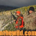 Hunting Public-Land Elk with Dieter Kaboth Day 4: The More Hunting Pressure on Elk the Better