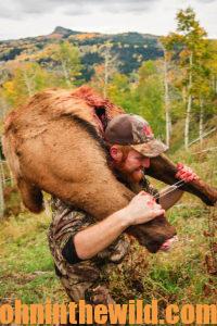 Hunter carrying elk