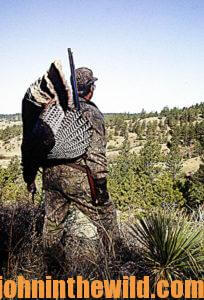 Hunter with a downed turkey in the field