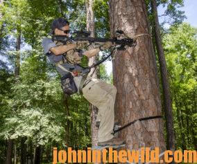 An archer takes aim from a tree stand with his crossbow