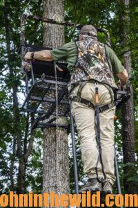 A hunter setting up a tree stand