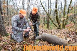 Two hunters retrieve a downed deer