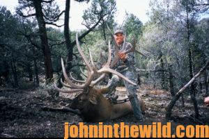 A hunter with his downed elk