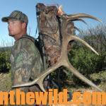 Randy Ulmer Stalks Close to Bowhunt Elk Day 3: How Randy Ulmer Bags Bull Elk