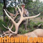 Randy Ulmer Stalks Close to Bowhunt Elk Day 4:  Why Stalk Bull Elk and Not Call