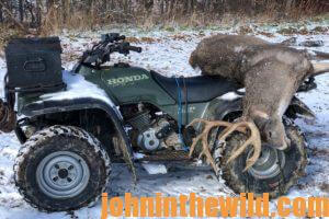 A downed buck on the back of an ATV