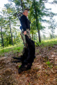 A hunter retrieves his hog