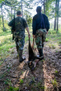  Two hunters retrieve a hog