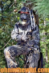 A hunter in a tree stand
