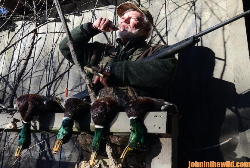 A hunter calls to the ducks from the front of his blind