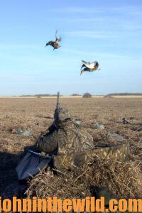 A hunter waits patiently for a shot at a flock of ducks