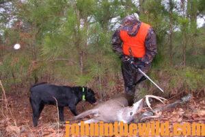 A hunter and a trailing dog locate a downed deer