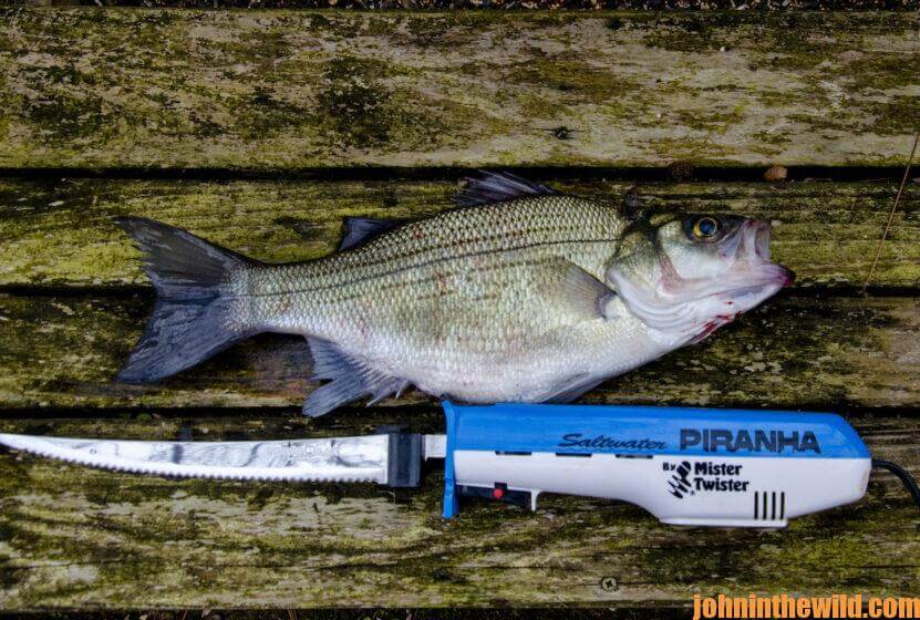 Guntersville Lake for Plenty of Food Fish Day 5: How Tom Mann Caught White  Bass - John In The WildJohn In The Wild