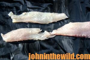 Put the fillets in an ice chest or a gallon Ziploc bag, depending on the number of fillets you want to cook