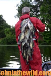 A angler holds a large catch of crappie over his shoulder