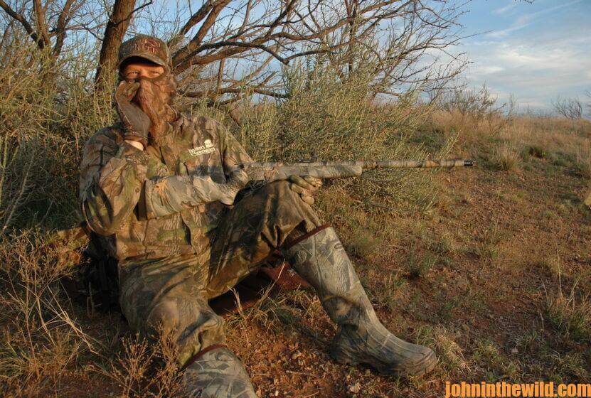 A hunter waits and calls for turkeys