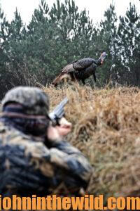 A hunter aims at a turkey within shooting range