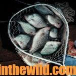 Crappie Fishing When a Cold Front Hits Day 3: Fish Ditches & Bridges for Spring Crappie