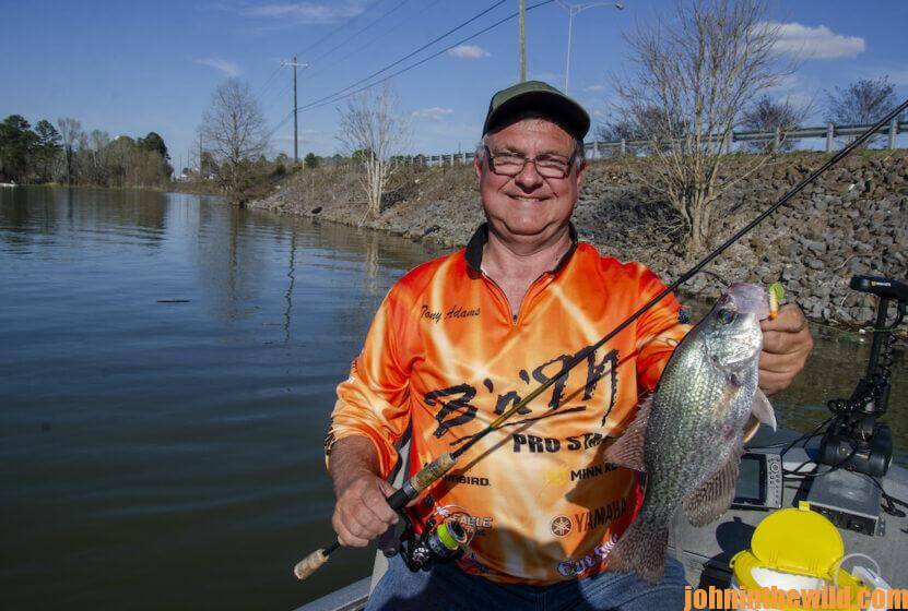 Using Eye Hole Jigs to Fish for Spawning Crappie with Crappie Guide Tony  Adams - John In The WildJohn In The Wild