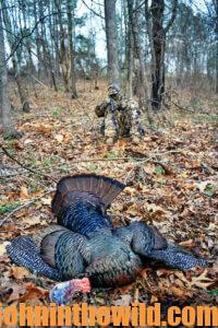 A hunter and his downed turkey